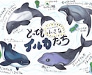 海洋生物のイラスト描きます 小さな魚から、大きなクジラまで… イメージ5