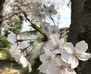 何でもぉ話聞きます。子育て、恋愛、愚痴、聞きます 顔がわからない、知らないこそ話せる事ありませんか？ イメージ1