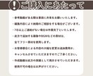 商品紹介や企業PRなど繊細さんが制作いたします 商品PRなど、費用をかけずに”それっぽいもの”を制作します！ イメージ4
