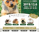 現役プロデザイナーがチラシ・フライヤーを制作します 大手企業様の制作実績多数！高クオリティを求めるお客様へ イメージ2