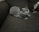 HSP専門カウンセラーがあなたの愚痴を聞きます 自己肯定感/悩み/人間関係/自分軸/周りに振り回される イメージ8