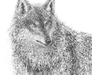 ペン画イラスト描きます モノクロタッチの個性ある動物イラストで目を惹きませんか？ イメージ4