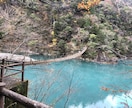 お花の写真メインで提供します お花、風景をメインに写真提供します。 イメージ7