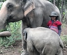 モニター価格！！タイ旅を一緒に考えます 子連れ・1人旅・友人旅など様々なタイ旅の経験をシェアします イメージ8
