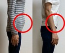 オンラインダイエットモニター募集します 食事・運動をトレーナーと頑張りたい人向け イメージ3