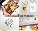 長く使えるロゴを、ご相談しながら丁寧に作成します 修正回数無制限・著作権譲渡・評価5.0・経験15年以上のプロ イメージ3