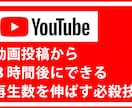 １再生０.５円⭐️YouTube１万回＋宣伝します 販売実績千件記念⭐️GW割あり⭐️６０日保証付きで安心♪ イメージ3