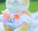 いま誰かと話したい、あなたのお話し相手になります 心に寄り添いお話しをお聞きします✨ イメージ6