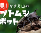 YouTubeのサムネイル作成します 再生回数が伸びないのには理由がある。 イメージ2