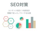 SEOコンサル｜現職で培ったノウハウを伝授ます あなたのサイトのSEO、アクセスアップのお手伝いをします イメージ1