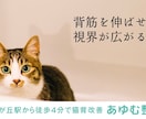 愛されるネーミングまたはキャッチコピー5案考えます お客様の記憶に残り、共感される案をご提供いたします イメージ7