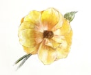デジタルでお花のイラスト描きます アナログ風のタッチのCGイラスト イメージ3