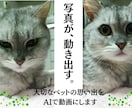 大切な子の思い出を、動く姿で残しませんか？ます 大切なペット写真から、自然な動きのある思い出動画を制作します イメージ1