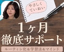 1ヶ月間あなたの英語パートナーになります 30分レッスン×12回+コーチング4回＋完全カスタマイズ イメージ1