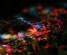 あなたの代わりに京都旅行の写真を撮ります 写真で京都を旅行しませんか？？ イメージ3