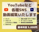 YouTubeなど各種SNSの動画編集いたします 低価格でオールジャンルOKです！ イメージ1