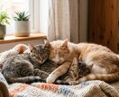 守護の存在とつながり★お守り言葉お伝えします 心がふっと軽くなる言葉。元気が出てくる言葉など イメージ3