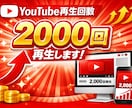 youtubeの動画2000回再生回数伸ばします 2000回再生・30日間保証付き イメージ1