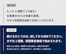 美容・健康のLP・広告原稿を書き換えます 美容・健康・治療院の広告実績。訴求を落とさず書き換え イメージ2
