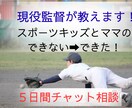 現役監督が自信を育む声かけ術をチャットで伝授します イライラの前に必読！子育て：スポーツキッズ：悩み相談 イメージ1