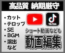 SNS・YouTubeなど幅広く動画編集します エフェクト・カット・テロップ・BGMまで丁寧に対応します イメージ1