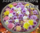 元美容部員がメイクのお悩みにアドバイスします 5年間の経験から、あなたの綺麗をお手伝いします✦ฺ イメージ1