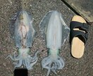 なんでもお話聞きます 悩み相談等お話しお聞きします。気にせずどうぞ。 イメージ1