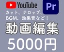 様々なジャンルの動画編集をさせていただきます ご希望に沿った作品をひとつひとつ心を込めてお作りします！ イメージ1