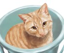 厚塗りで可愛い猫ちゃんイラスト描きます リアルなタッチに寄せたふんわり柔らかな雰囲気のイラスト イメージ2