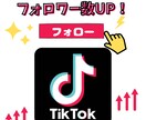 値下げ！TikTokフォロワー数UP★します 500～大量注文も対応可！お試し価格でリーズナブル◎ イメージ1