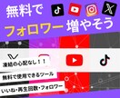 無理でSNSのフォロワー増やすツール教えます フォロワー・いいね・視聴回数! イメージ1