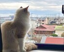 お話し、なんでもお聞きします 人に言えない悩みでも、なんでもOKです◎ イメージ2