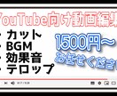 YouTube 向け動画編集承ります 一緒にチャンネルを育てていけるよう、サポートいたします。 イメージ1