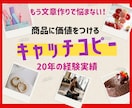 購買につなげる！商品のキャッチコピーをご提供します この道18年のプロが商品・サービスに魅力と価値をプラスします イメージ1