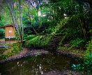 風景写真(自然・街中)を販売します ご希望のコンセプト写真を10〜20枚程度提供いたします イメージ4