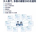 法人向けSNS完全自動運用システムを構築します 1人で何百ものSNSを毎日完全自動運用｜7媒体・OEM対応 イメージ7