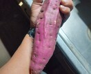 54歳現役職人のリアルな肉体で着用モデルをします 上腕43cmのタフな体躯・無骨な手元【法人限定】 イメージ7