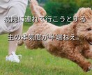 気軽に使ってね♪あなたの女友達になります 女性と話す練習や恋愛相談・雑談・愚痴・優しく受けとめます。 イメージ8