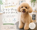 POP作ります。ココナラ外でPOP作成実績あります 一瞬、立ち止まるようなPOPをお届けします。 イメージ4