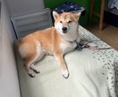 何でもいいです、必ず導きます 溜め込むのではなく口に出してみて下さい。楽になると思います。 イメージ1