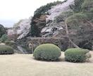 恋愛相談✩.*˚力になります 片思いから失恋、復縁まで✩.*˚一緒に考えましょう！ イメージ1