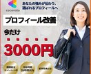 今だけ★★3,000円でプロフィール改善します まずは低価格で選ばれるプロフィールに！ イメージ1