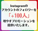 フォロワー増やします（Instagram）ます インスタのフォロワーを簡単に増加！ イメージ2