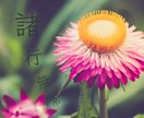 オンリーワンのあなたのお話、優しくお聞きします 愚痴・悩み・雑談☆気さくな元スポーツ女子とお話ししませんか？ イメージ15