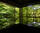 一眼レフでどんな方もキレイにお写真撮ります マッチングアプリ等の写真、記念写真など、お任せください！！ イメージ7