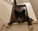ちょっと変わった中卒社長に気軽に色々聞けます こんな値段であなたにお役立ち出来るかも イメージ9