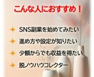 SNS初心者も！実践的収益化完全ガイドお渡しします SNS副業初心者でも収益化を目指せるマネタイズ完全ガイドです イメージ3