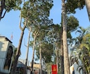 神戸大より良いとされる大学、わたしより良い歴ます 神戸大より良いとされる大学へ、わたしの卒業大学より良い学歴を イメージ1
