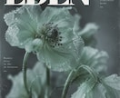 海外雑誌風のAI画像を制作します ファッションを海外誌のような世界観に仕上げます イメージ9