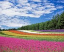 お悩み、愚痴など何でもお聞きします ぜ～んぶはきだして、スッキリしませんか？5分でも大丈夫です！ イメージ6